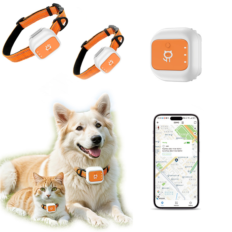 Pet Gps Tracker Collar - Evcil hayvan GPS takip cihazı yaka