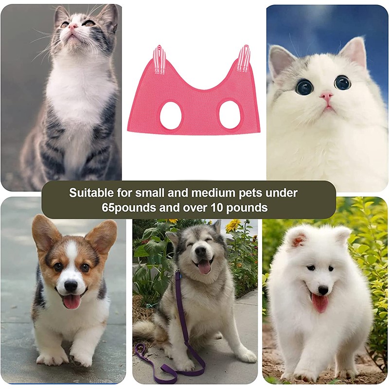 Pet Supplies Nail Trim - Evcil Hayvan Güzellik Hamağı Asılı Kedi