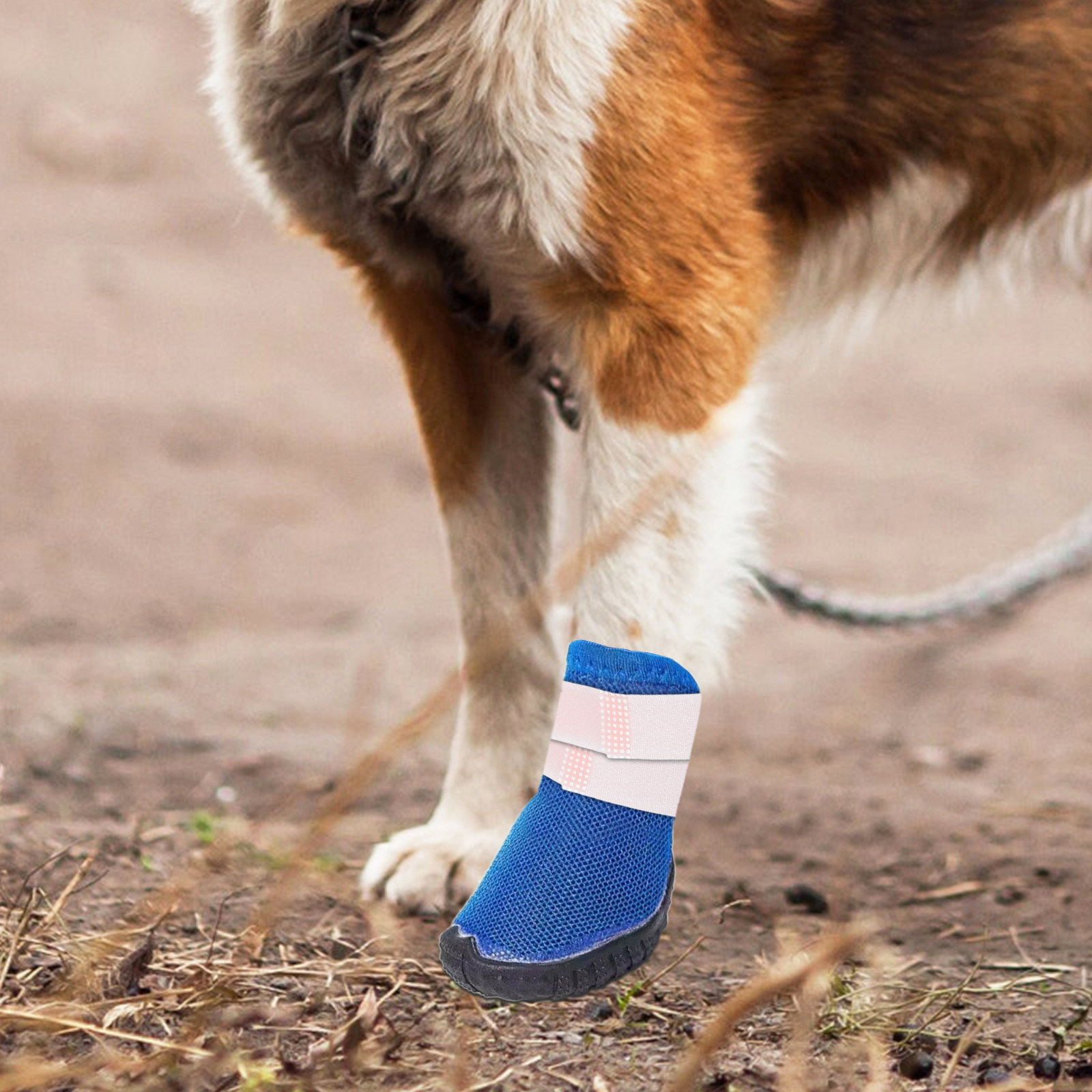 Dog Booties Paw Protector - 10 Adet Evcil Hayvan Pati Koruyucu,