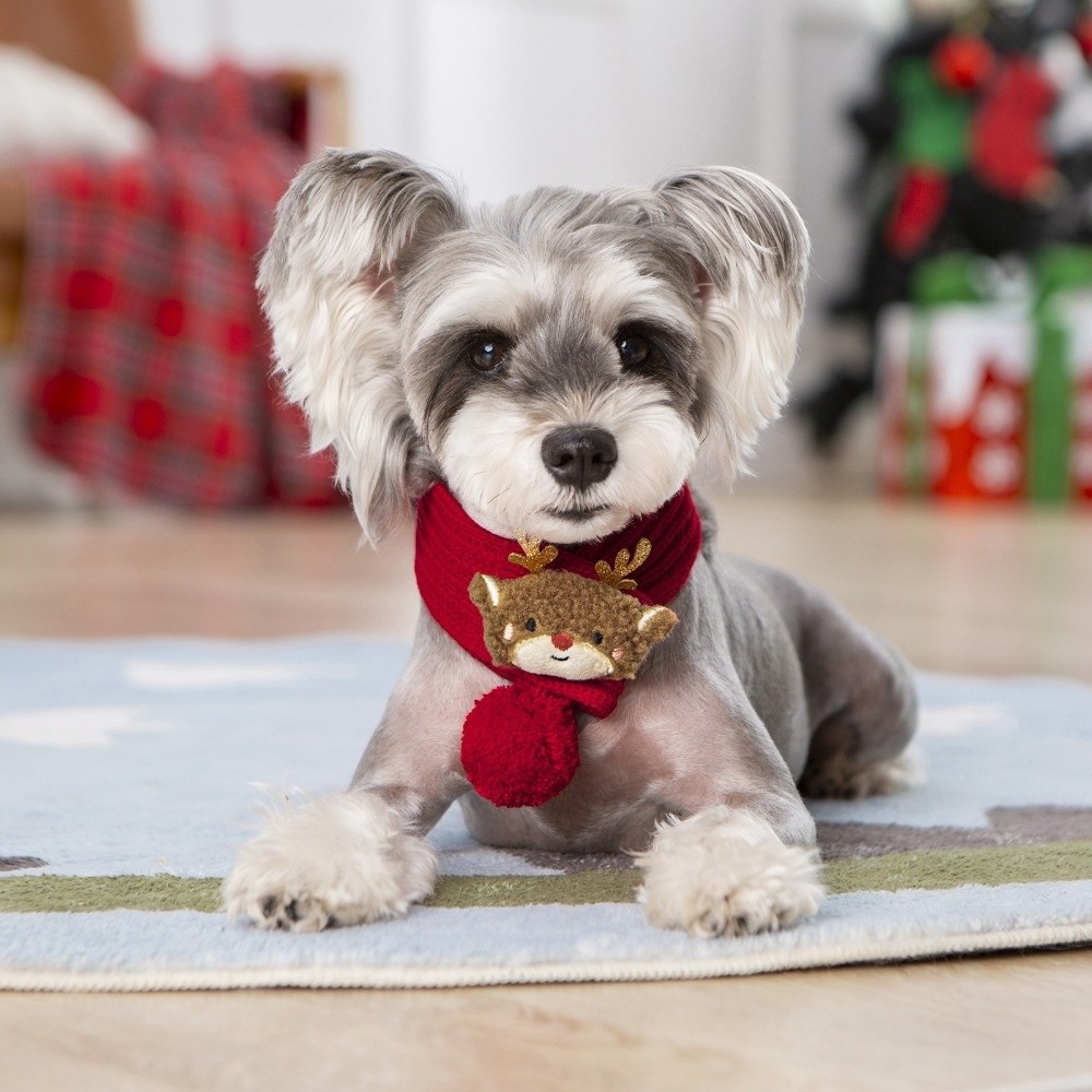 Dog Bandana Scarf - Noel Köpek Örgü Atkısı, Noel Baba
