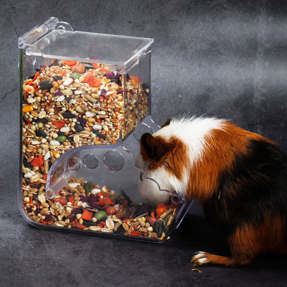    2-1 adet sevimli hamster k - Automatic Pet Feeder incelemesi ve fiyatı