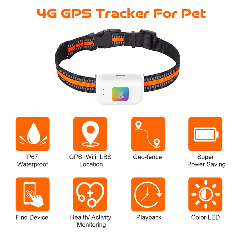 Renkli LED Işıklı GPS Evcil Ha - Pet Gps Tracker Collar incelemesi ve fiyatı