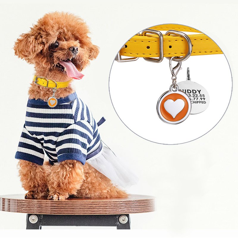 Pet kedi köpek deri yaka pasla - Pet Supplies Login incelemesi ve fiyatı