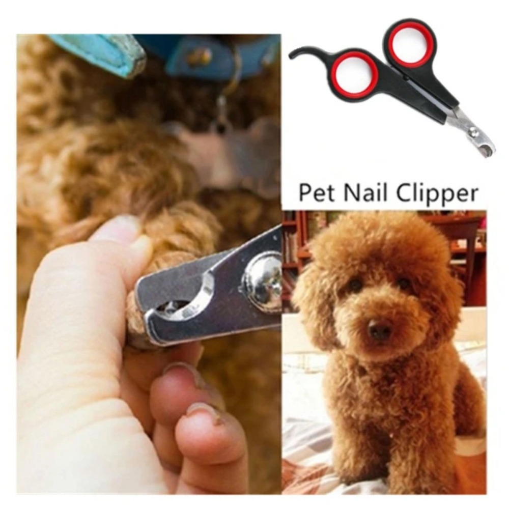 12 cm Pet Tırnak Makası Giyoti - Pet Supplies Nail Trim incelemesi ve fiyatı