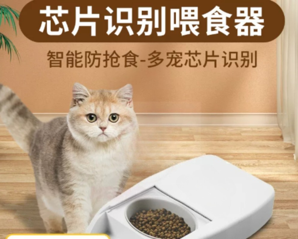 Akıllı Otomatik Evcil Hayvan B - Automatic Pet Feeder incelemesi ve fiyatı
