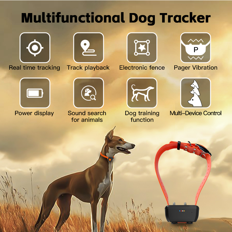 Özel WiFi Su Geçirmez GPS Köpe - Pet Gps Tracker Collar incelemesi ve fiyatı