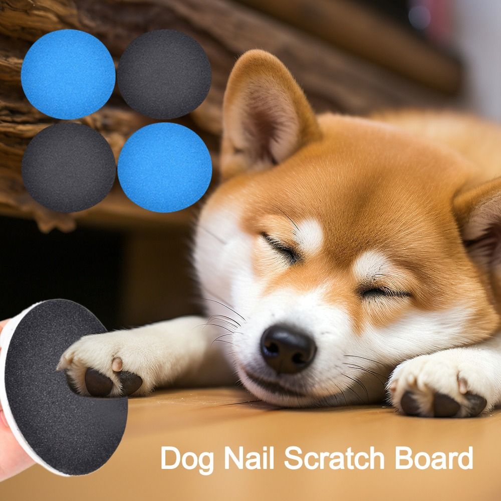 Yedek Pet Malzemeleri Köpek tı - Pet Supplies Nail Trim incelemesi ve fiyatı