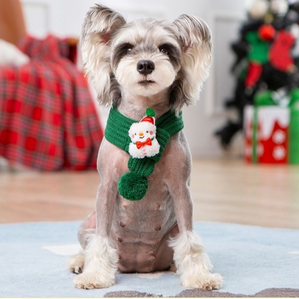 Noel Köpek Örgü Atkısı, Noel B - Dog Bandana Scarf incelemesi ve fiyatı