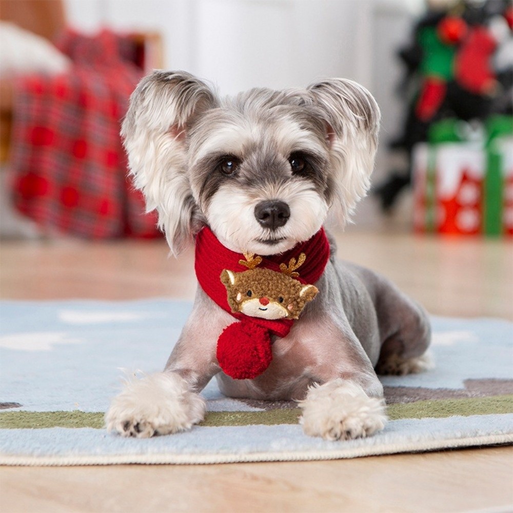 Noel Köpek Örgü Atkısı, Noel B - Dog Bandana Scarf incelemesi ve fiyatı