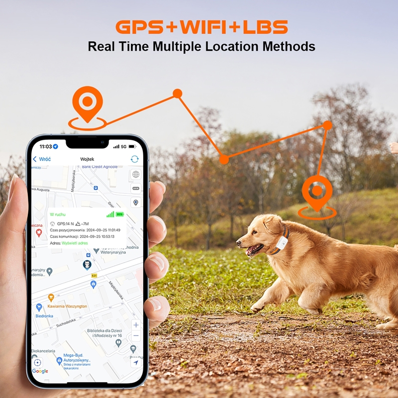 Renkli LED Işıklı 4G Akıllı Ev - Pet Gps Tracker Collar incelemesi ve fiyatı