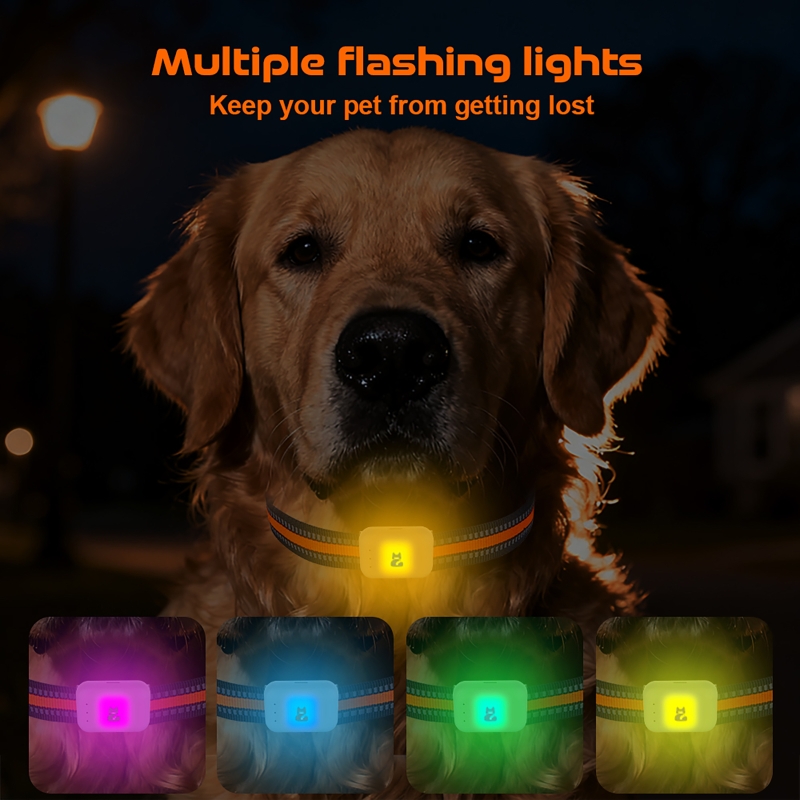 Renkli LED Işıklı 4G Akıllı Ev - Pet Gps Tracker Collar incelemesi ve fiyatı