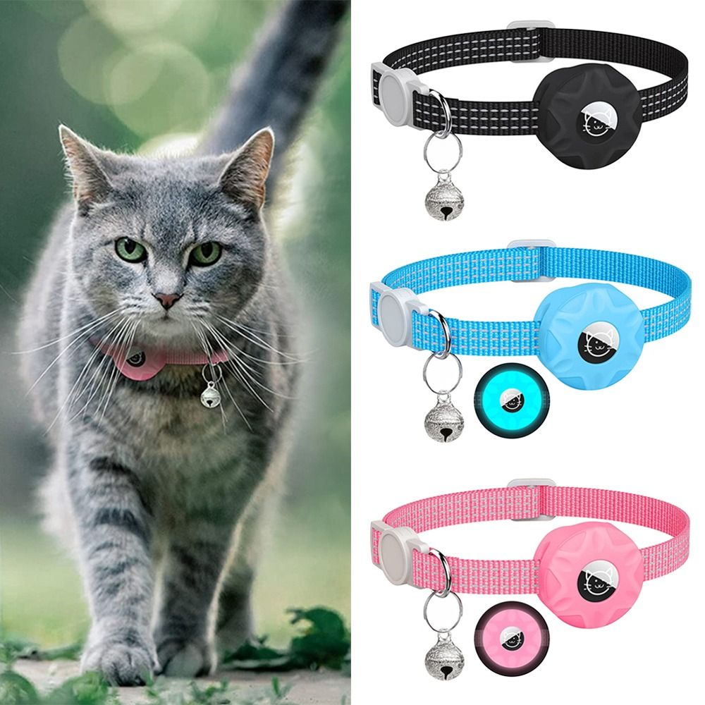 GPS izci kutusu ile Pet yaka y - Pet Gps Tracker Collar incelemesi ve fiyatı