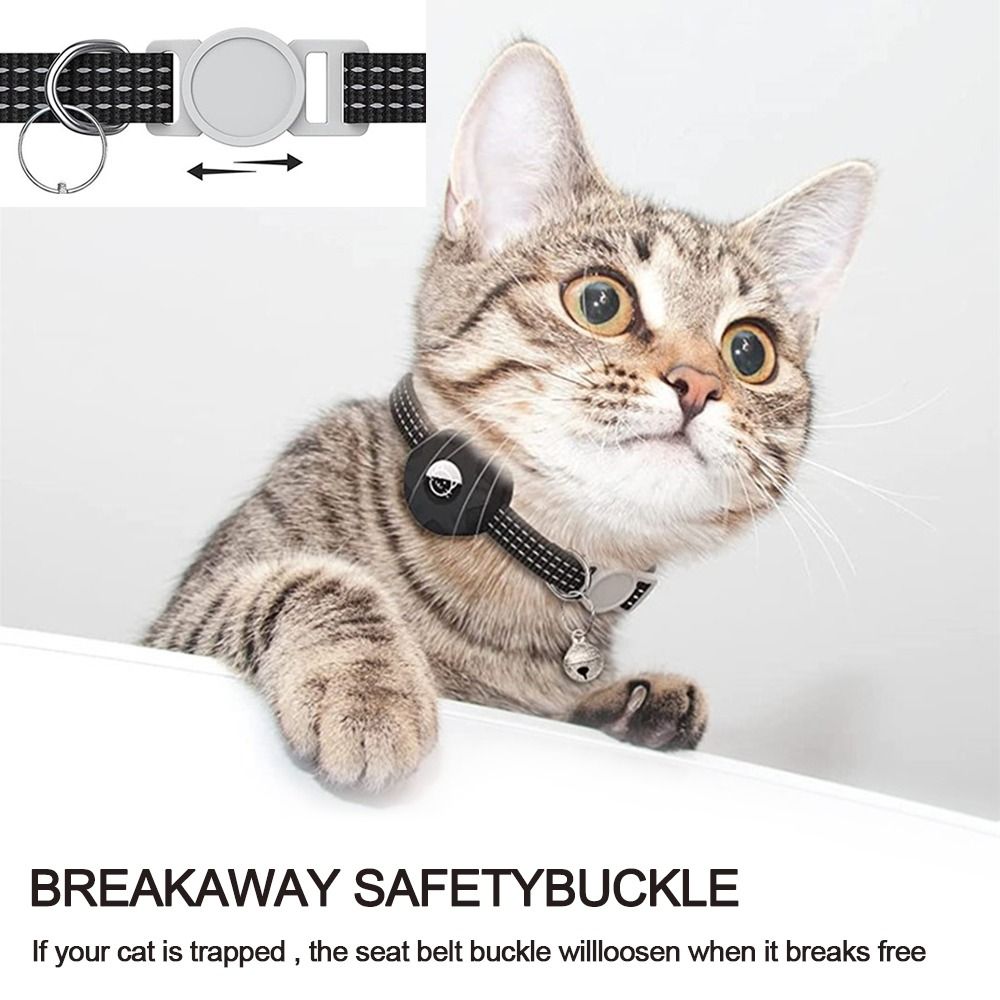 GPS izci kutusu ile Pet yaka y - Pet Gps Tracker Collar incelemesi ve fiyatı